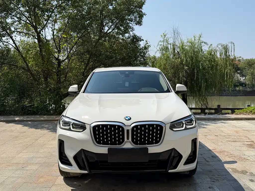 BMW X4 — фото 2