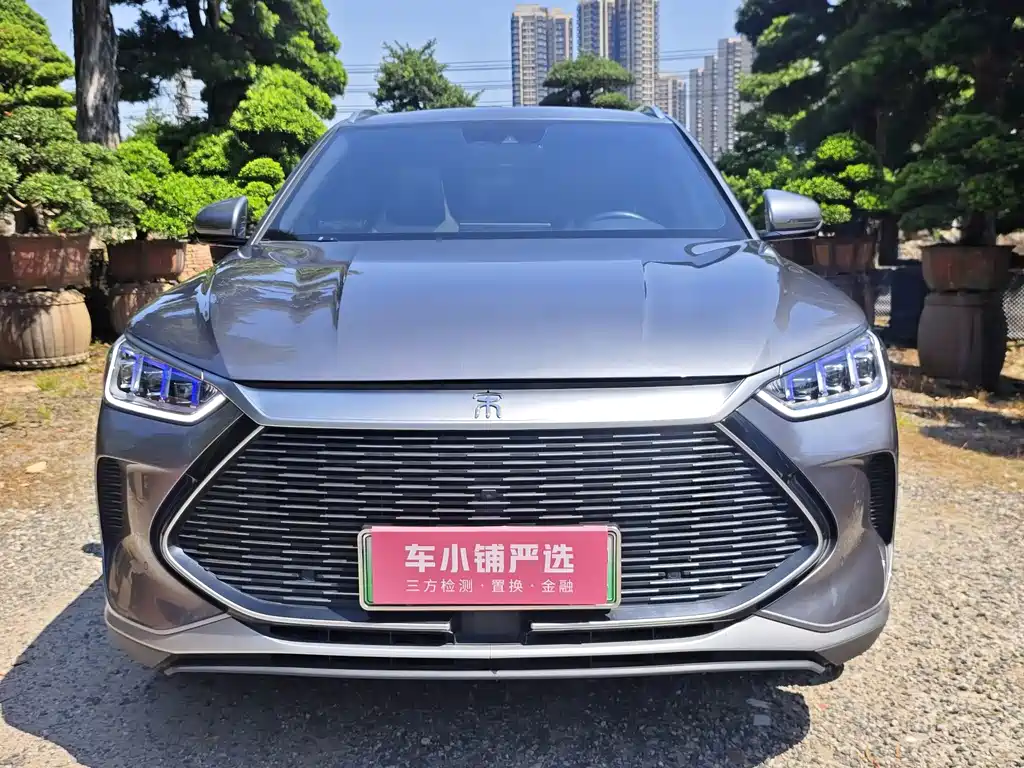 BYD PLUS New Energy — фото 2