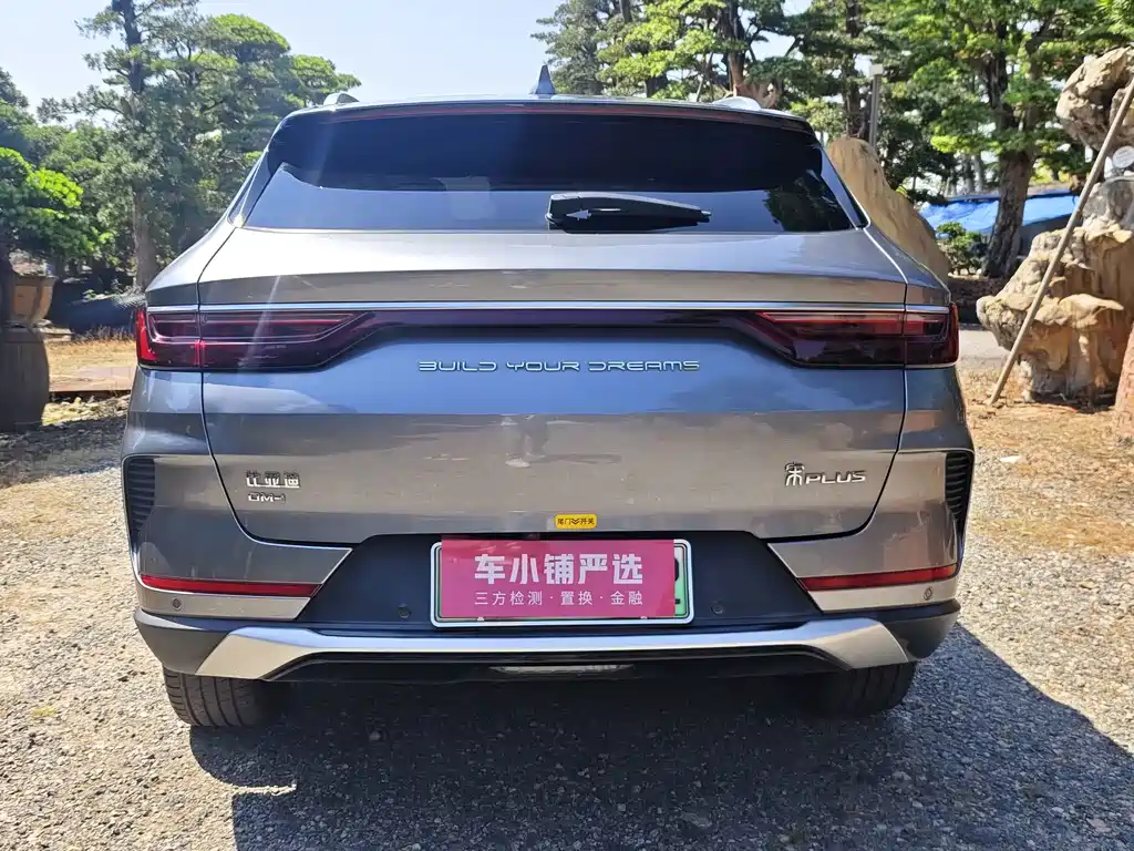 BYD PLUS New Energy — фото 17