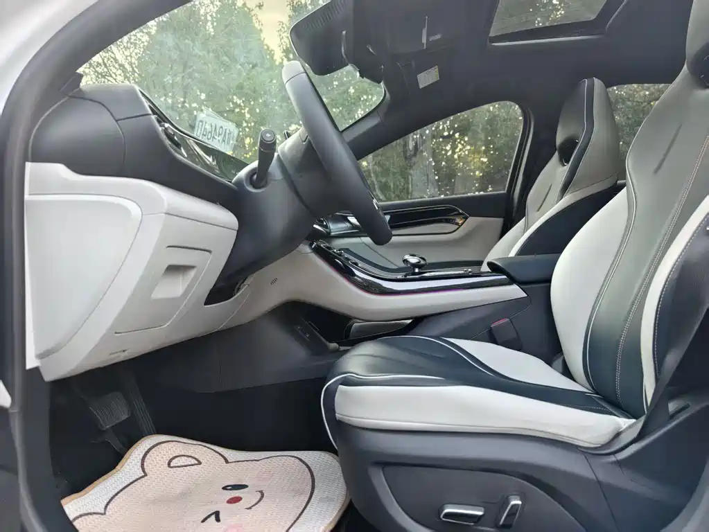 BYD Qin PLUS — фото 4