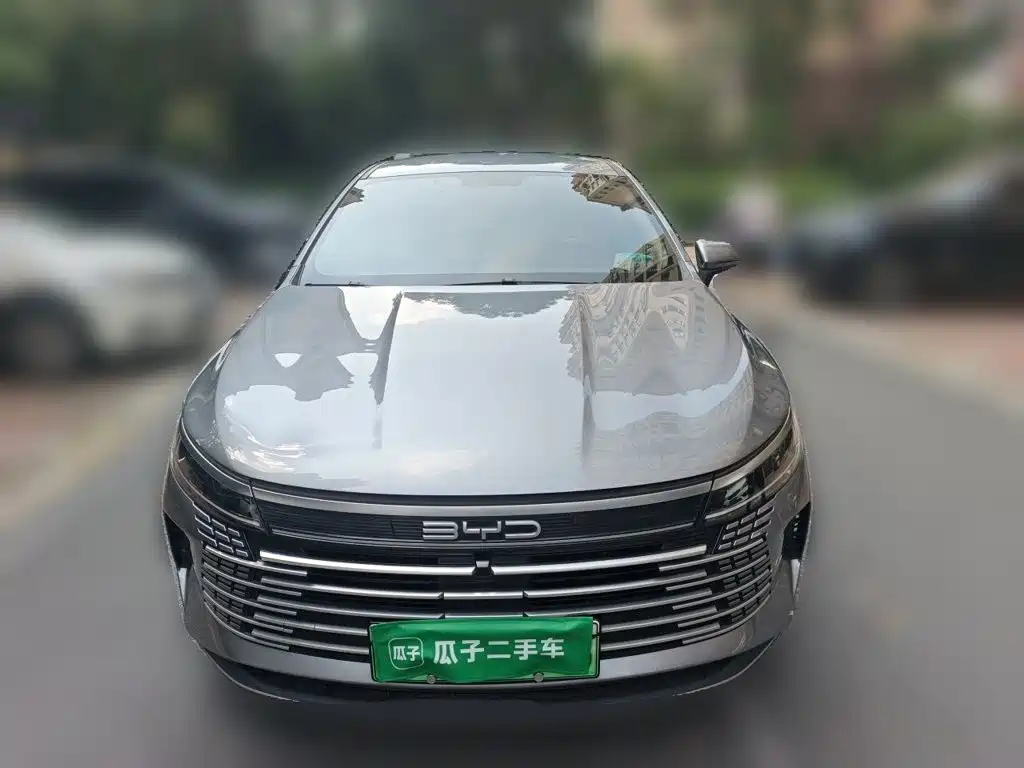 BYD Destroyer 05 — фото 2