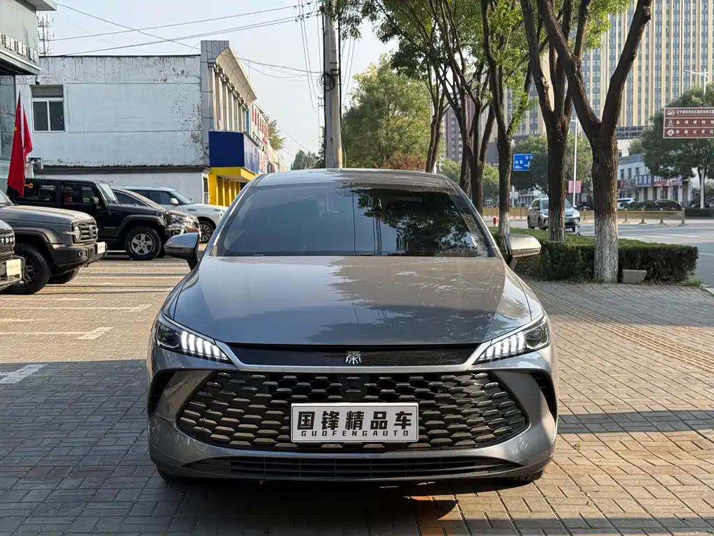 BYD Qin PLUS — фото 2