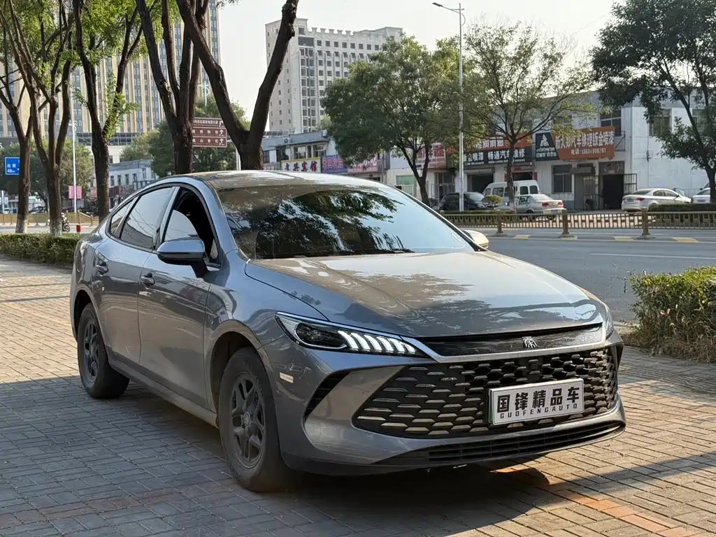 BYD Qin PLUS — фото 3