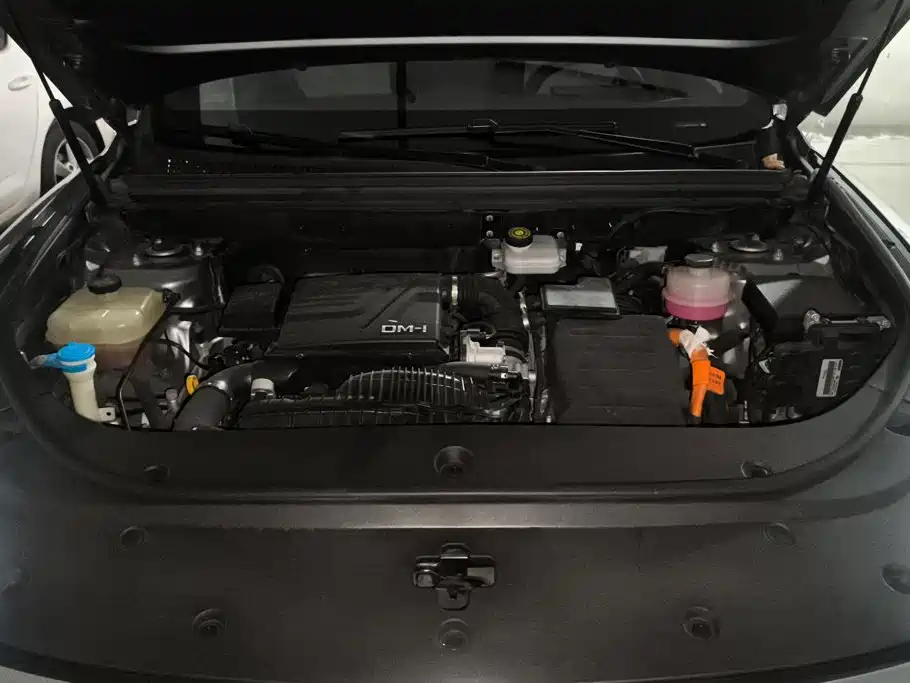 BYD Pro New Energy — фото 10