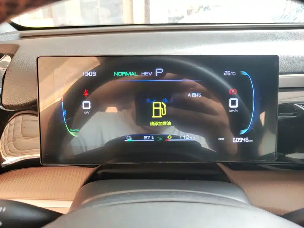 BYD Pro New Energy — фото 11