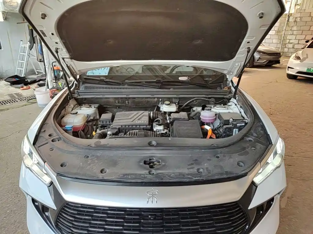 BYD Pro New Energy — фото 19