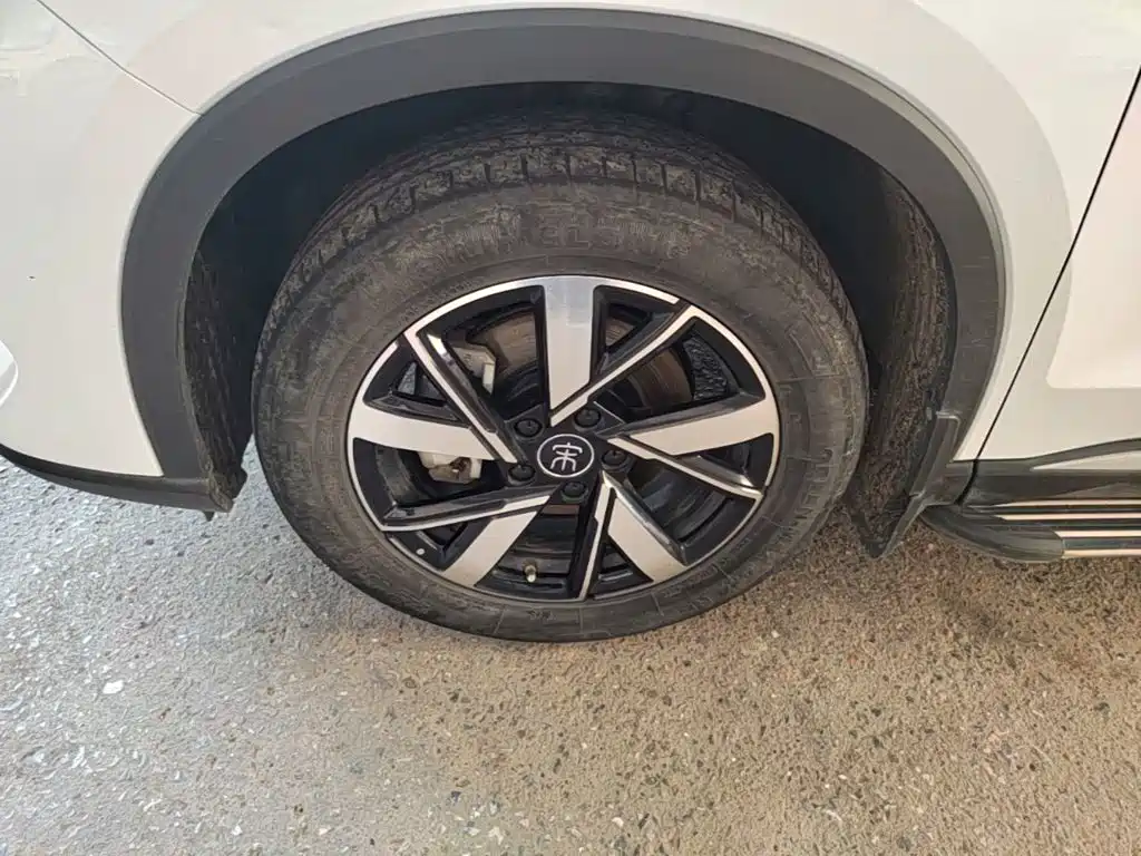 BYD Pro New Energy — фото 22