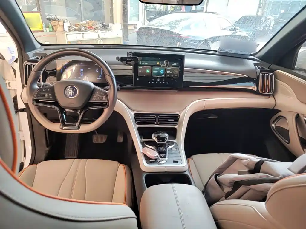 BYD Pro New Energy — фото 9