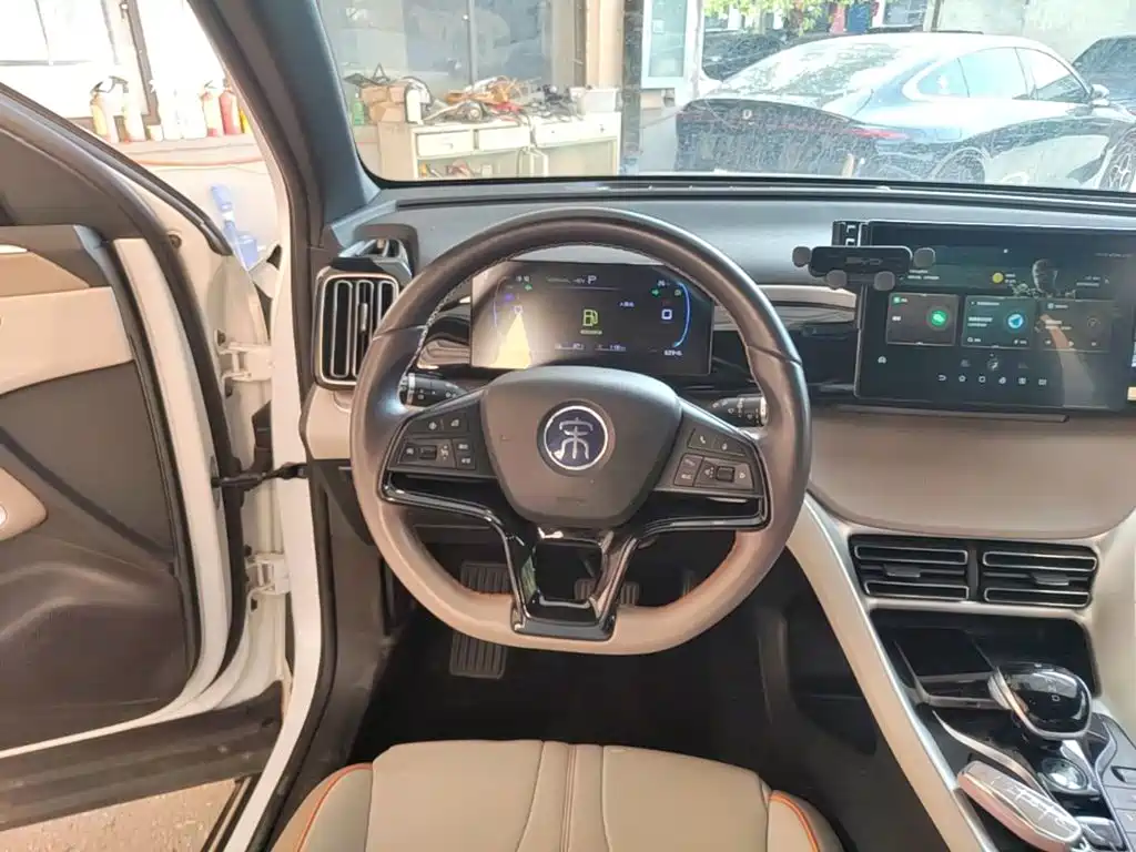 BYD Pro New Energy — фото 10