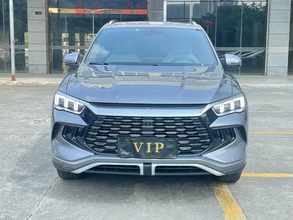 BYD Pro New Energy — фото 2