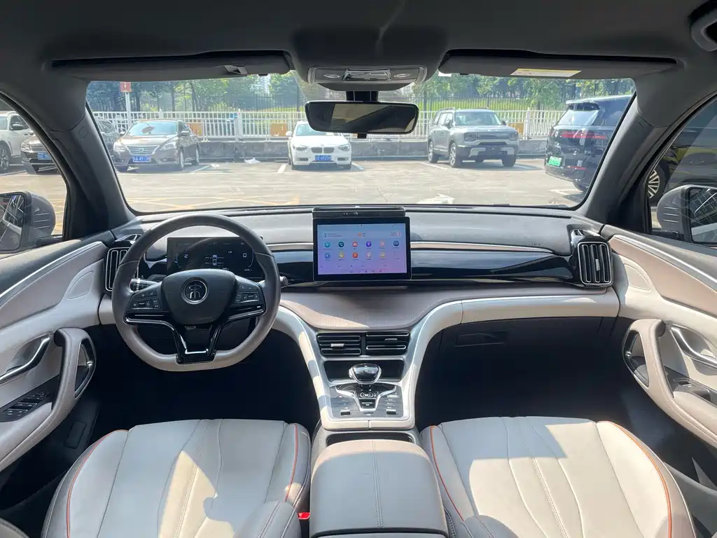 BYD Pro New Energy — фото 19