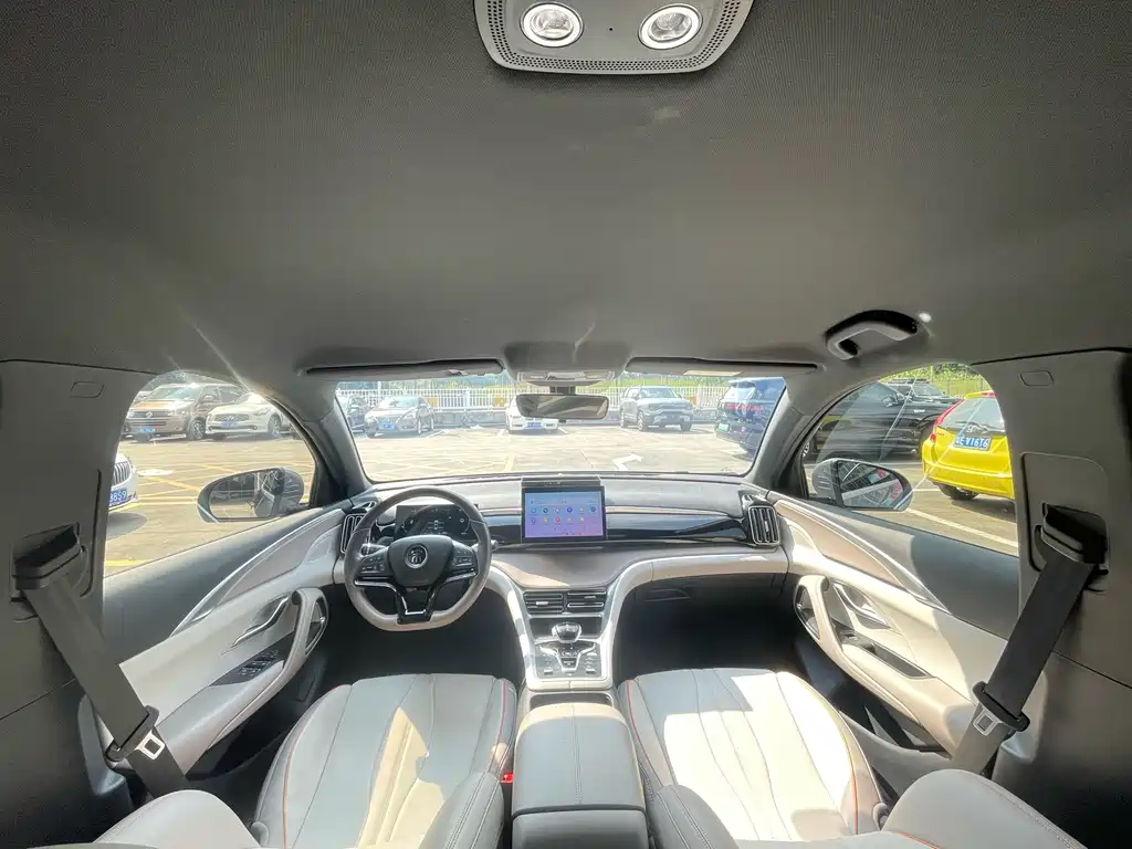 BYD Pro New Energy — фото 20