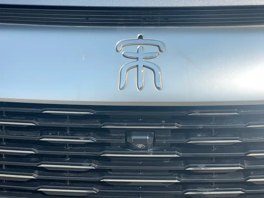 BYD Pro New Energy — фото 4