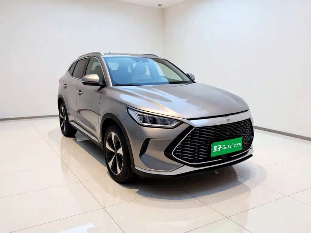 BYD PLUS New Energy — фото 3