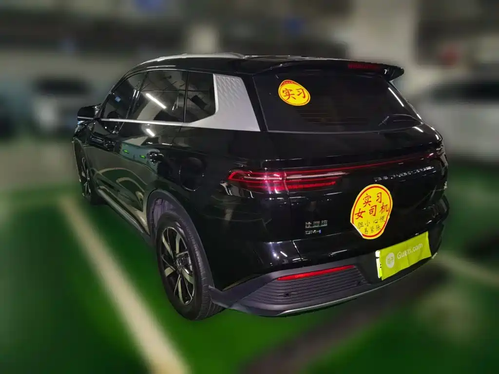 BYD Pro New Energy — фото 4