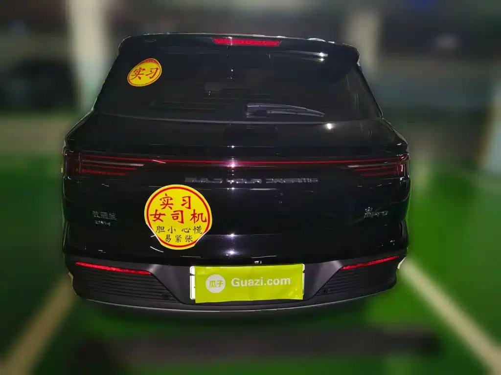 BYD Pro New Energy — фото 5