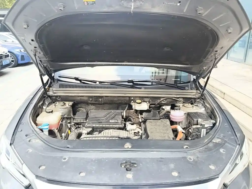 BYD Pro New Energy — фото 19