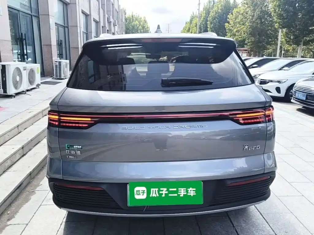 BYD Pro New Energy — фото 5