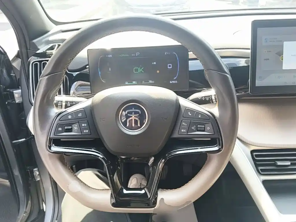 BYD Pro New Energy — фото 10