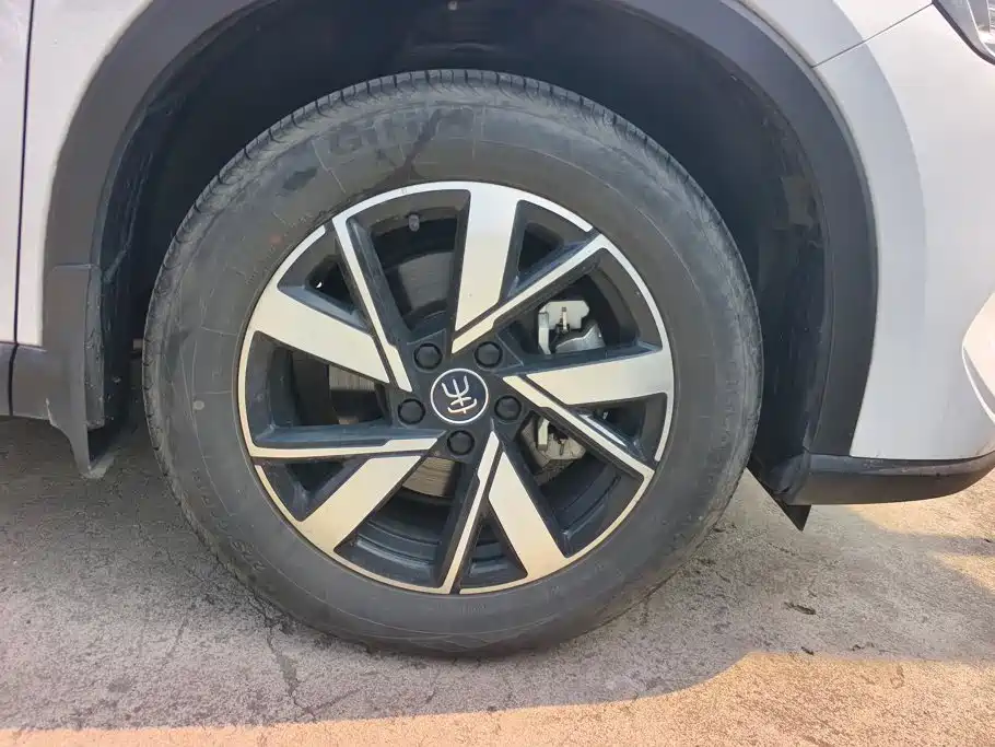 BYD Pro New Energy — фото 6