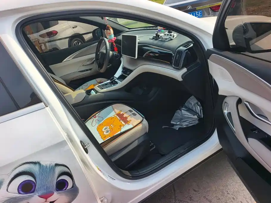 BYD Pro New Energy — фото 8