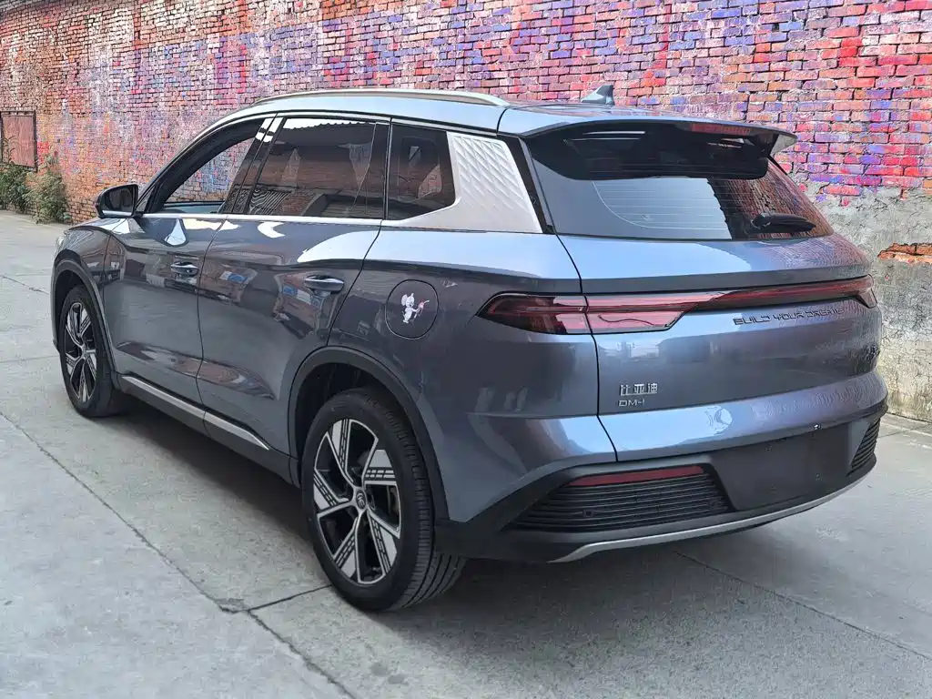 BYD Pro New Energy — фото 5