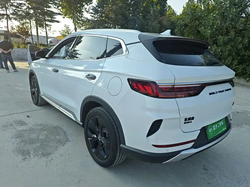 BYD PLUS New Energy — фото 4