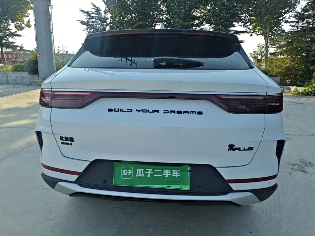 BYD PLUS New Energy — фото 5