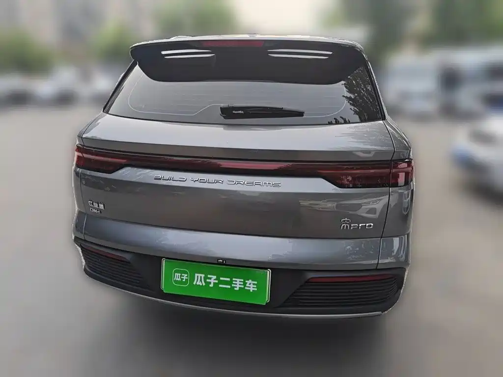 BYD Pro New Energy — фото 3