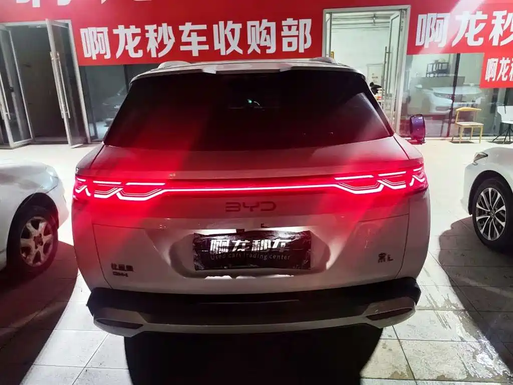 BYD L DM-i — фото 5