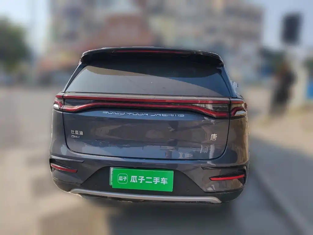 BYD Tang New Energy — фото 5