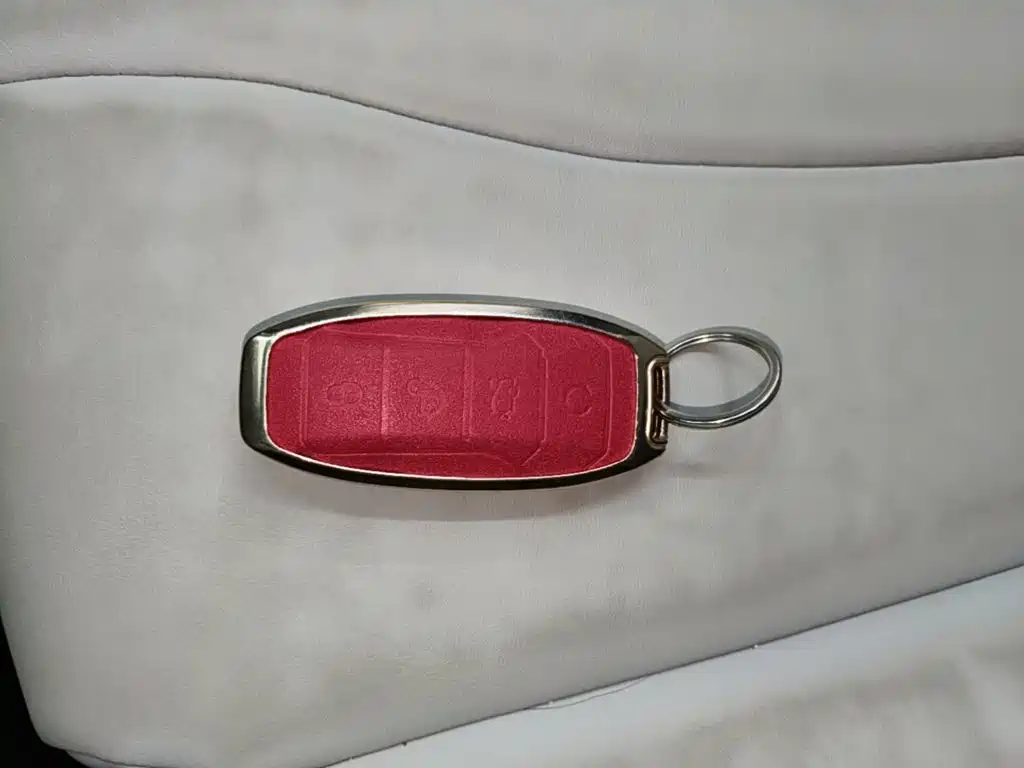 BYD PLUS New Energy — фото 8