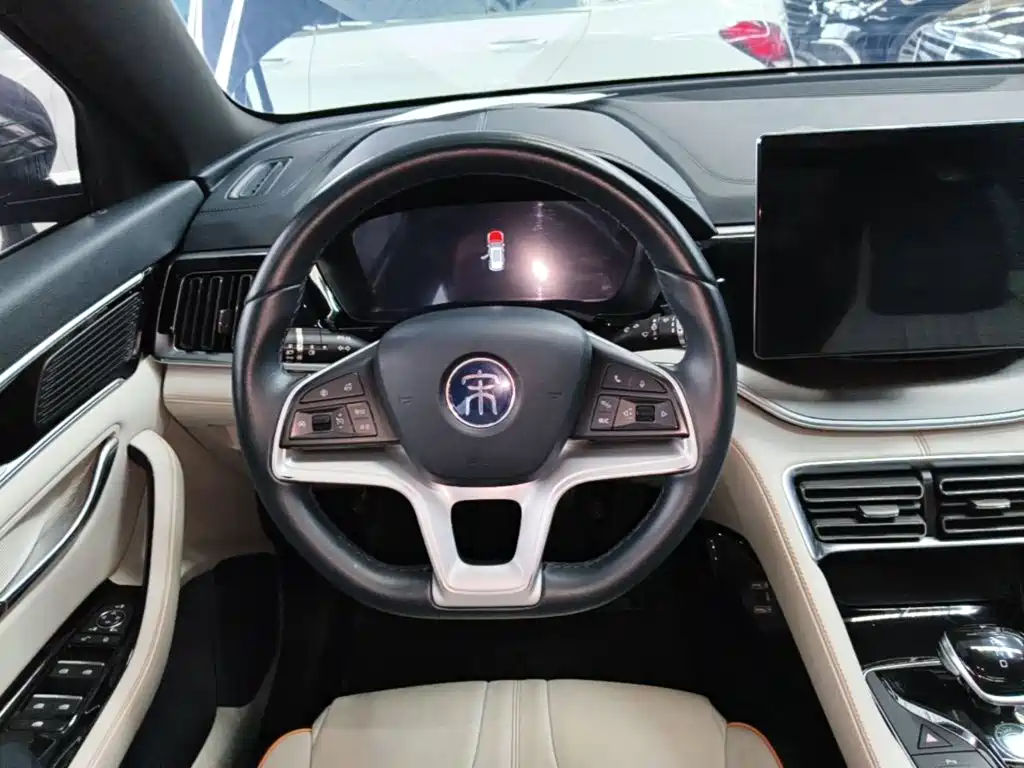 BYD PLUS New Energy — фото 10