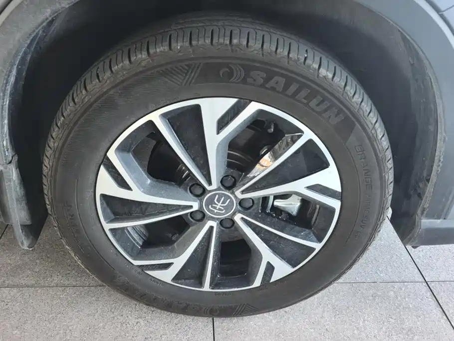 BYD Pro New Energy — фото 6