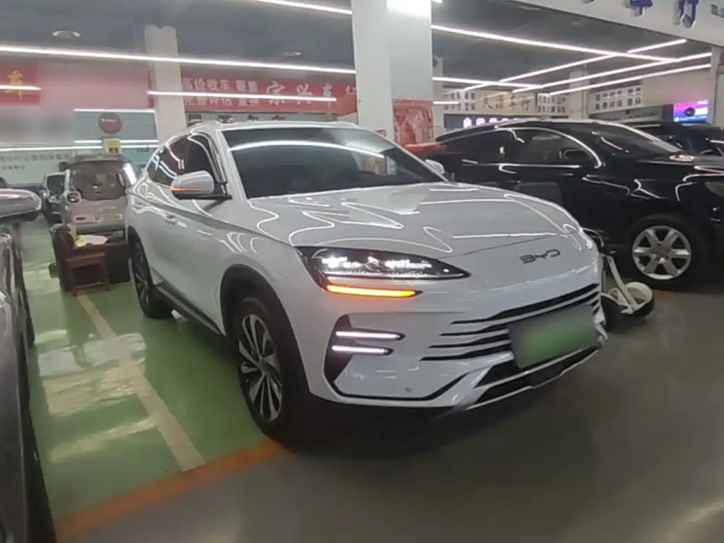 BYD PLUS New Energy — фото 3