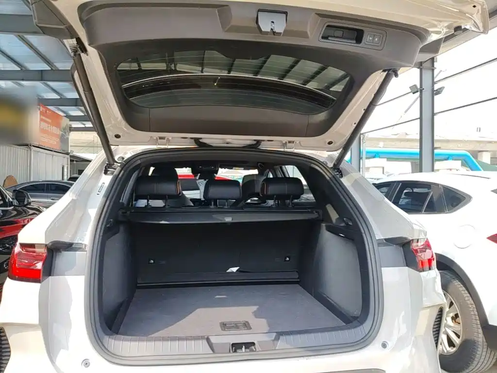 BYD PLUS New Energy — фото 18
