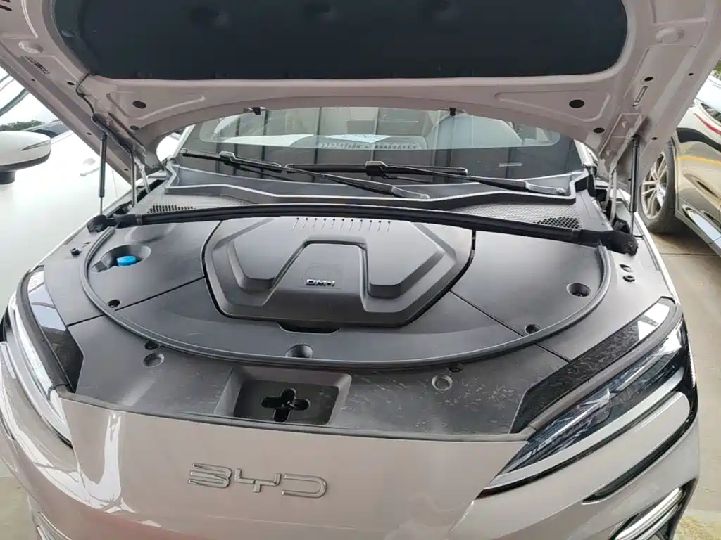 BYD PLUS New Energy — фото 19