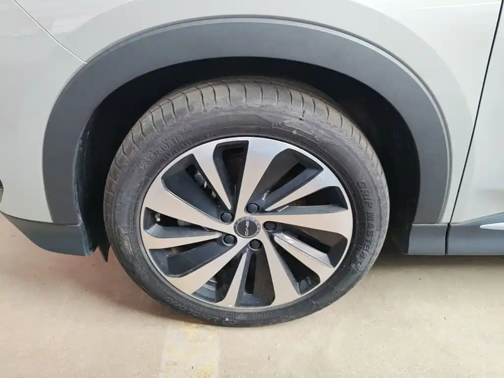 BYD PLUS New Energy — фото 22