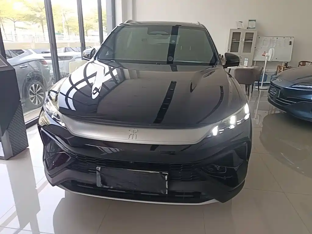 BYD Pro New Energy — фото 2