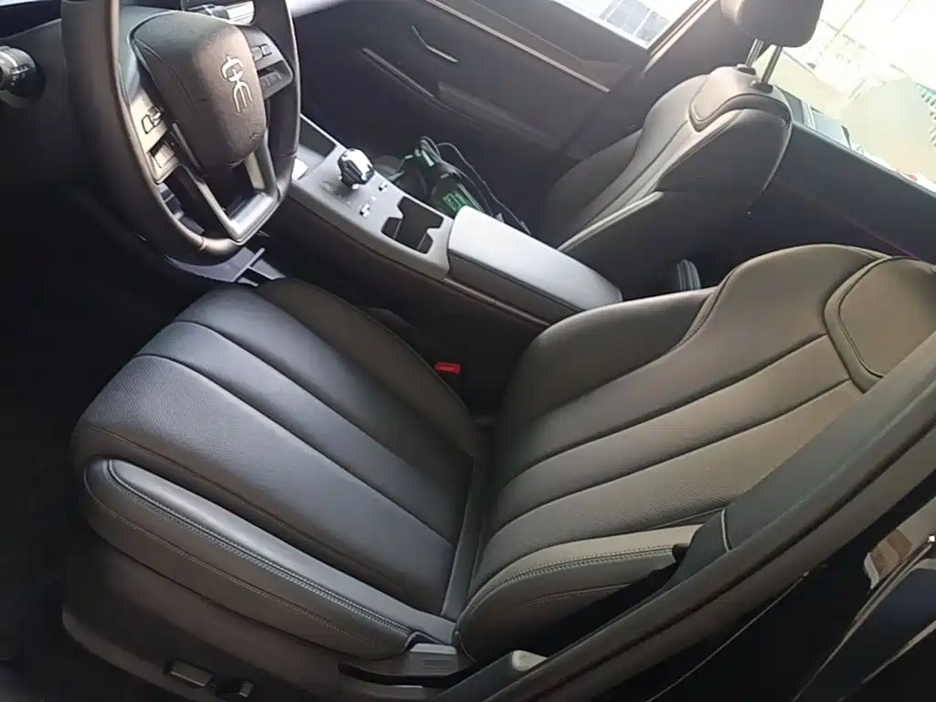 BYD Pro New Energy — фото 14