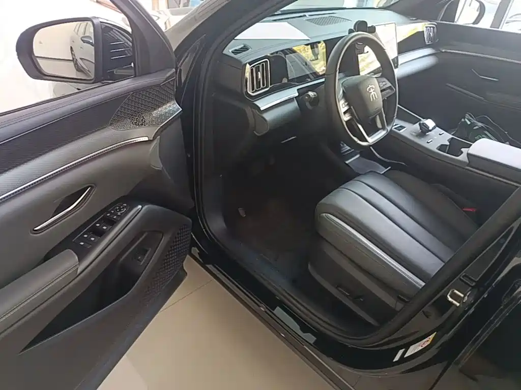 BYD Pro New Energy — фото 15
