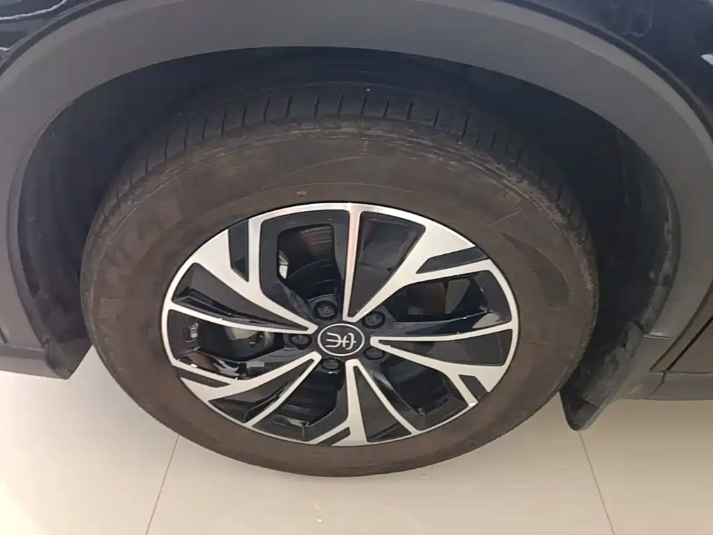 BYD Pro New Energy — фото 22