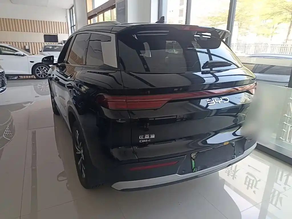 BYD Pro New Energy — фото 4