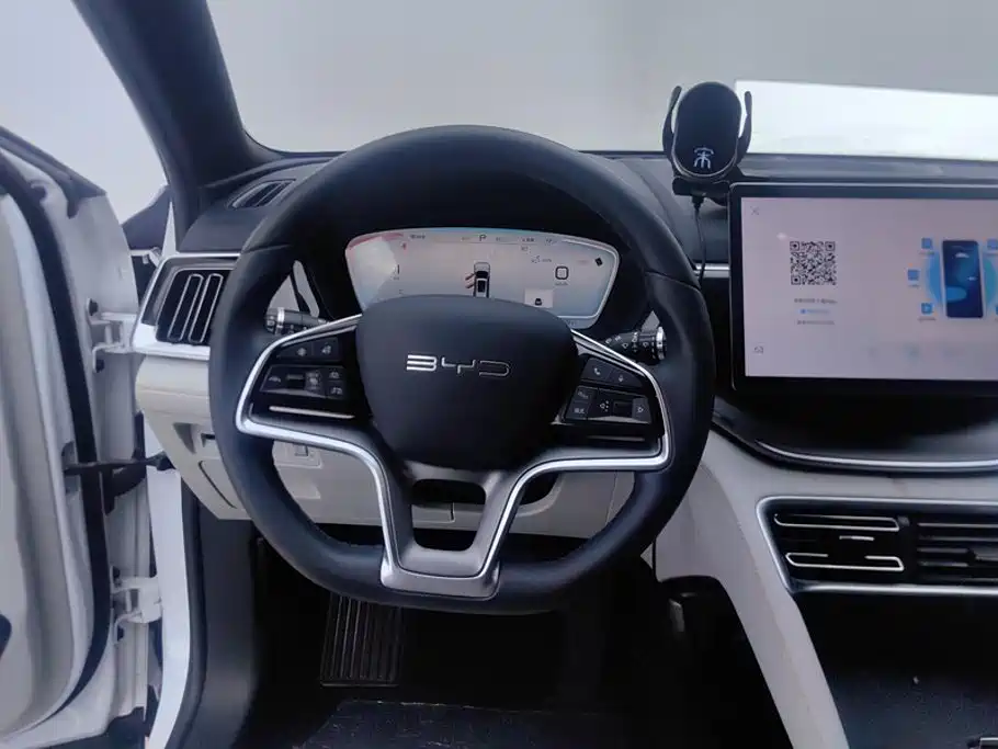 BYD PLUS New Energy — фото 15