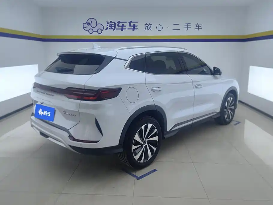 BYD PLUS New Energy — фото 3