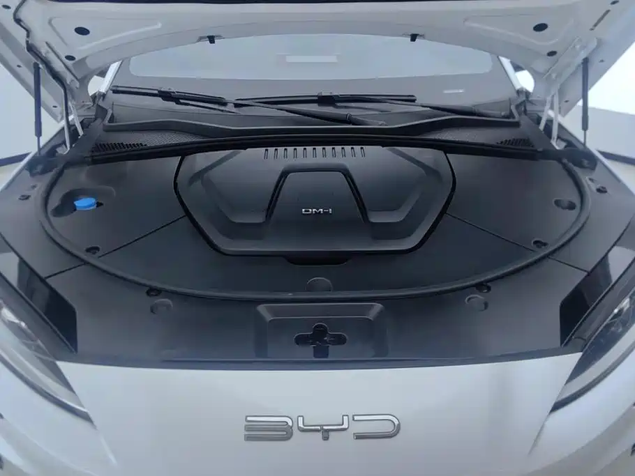 BYD PLUS New Energy — фото 10