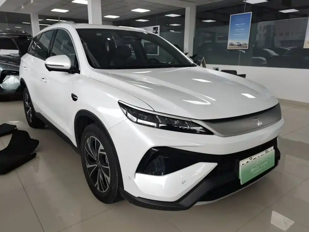 BYD Pro New Energy — фото 3