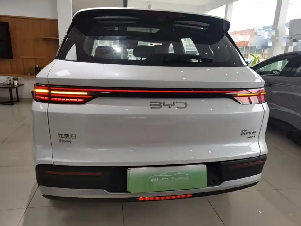 BYD Pro New Energy — фото 5