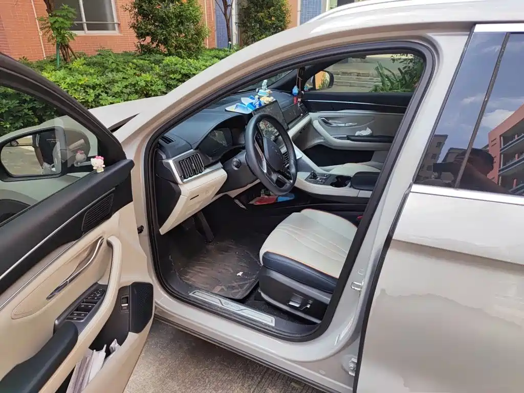 BYD PLUS New Energy — фото 17