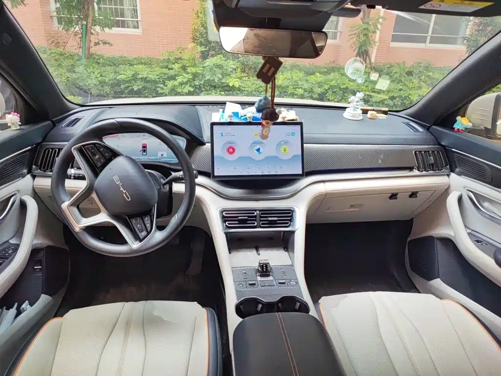 BYD PLUS New Energy — фото 10